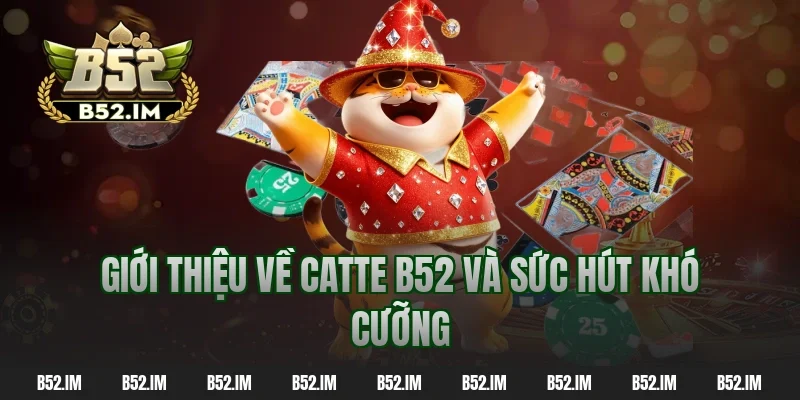 Giới thiệu về catte b52 và sức hút khó cưỡng